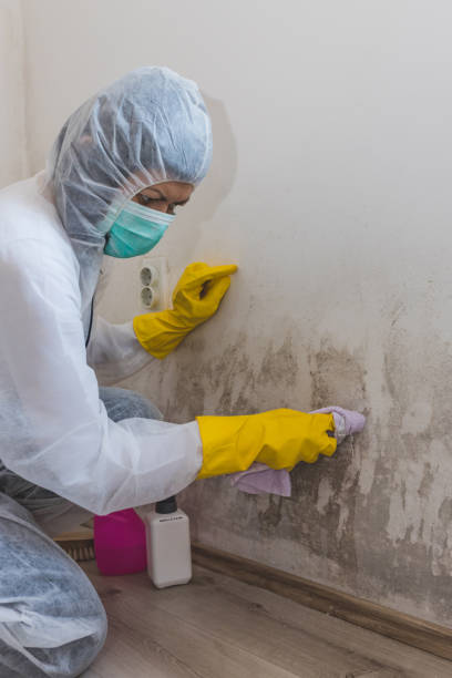 Best Forensic Mold Investigation  in Church Point, LA