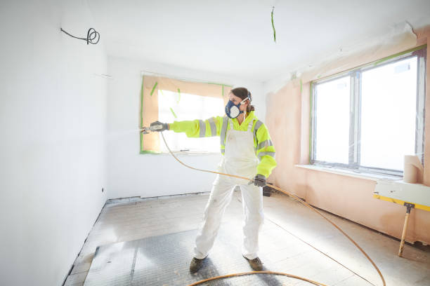 Best Black Mold Removal  in Church Point, LA